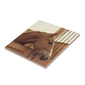 Kastanienpferd mit Blaze im Stall Fliese (Seite)