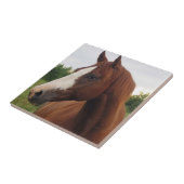 Kastanienpferd mit Blaze Tile Fliese (Seite)