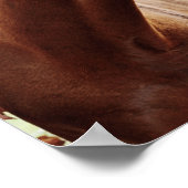 Kastanienpferd, mit Bridle in Weide Poster (Ecke)
