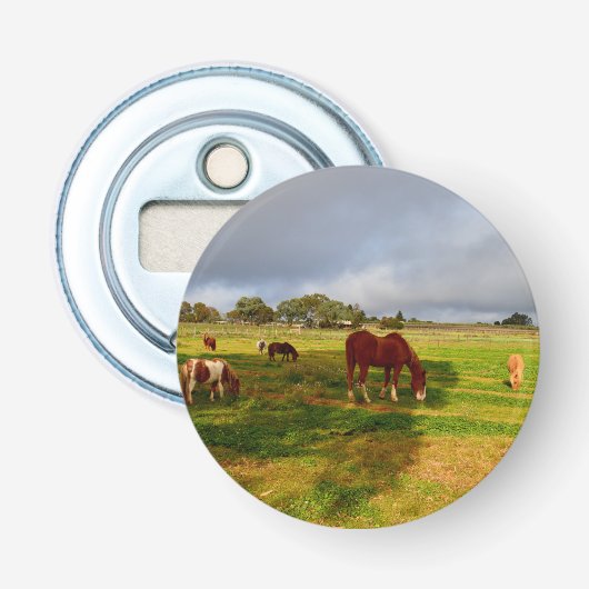 Kastanienpferd mit Kastanien, Flaschenöffner (Vorderseite)