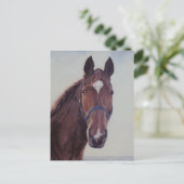 Kastanienpferd mit White Star Postkarte (Stehend Vorderseite)