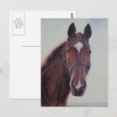 Kastanienpferd mit White Star Postkarte (Vorne/Hinten)