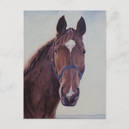 Kastanienpferd mit White Star Postkarte (Vorderseite)