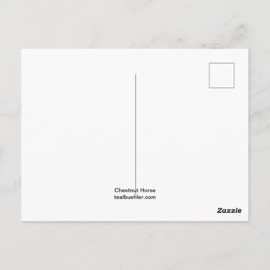 Kastanienpferd Postkarte (Rückseite)