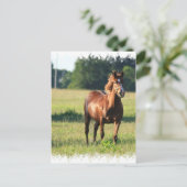 Kastanienpferd Stehende Postkarte (Stehend Vorderseite)