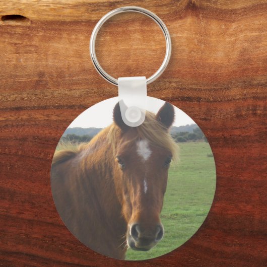 Kastanienroh-Schlüsselanhänger Schlüsselanhänger (Vorderseite)