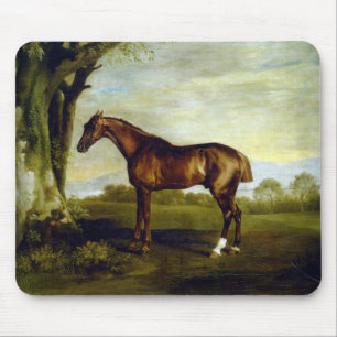 Kastanienrutsche in einer Landschaft (George Stubb Mousepad
