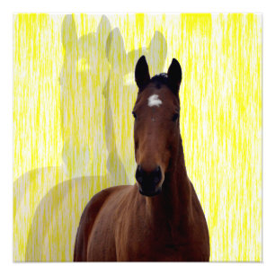 Kastanienschatten, Fotodruck