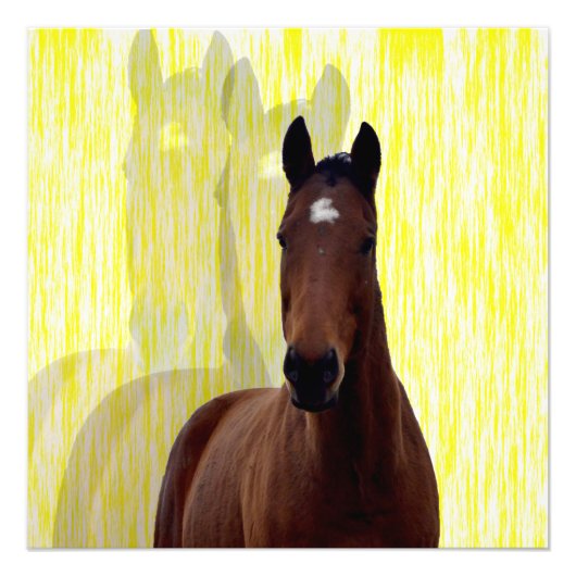 Kastanienschatten, Fotodruck (Vorne)