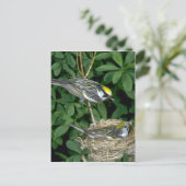 Kastanienweiher auf Nest Postkarte (Stehend Vorderseite)