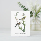 Kastanienweiher, John Audubon Postkarte (Stehend Vorderseite)