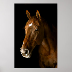 KastanieThoroughbred Poster