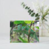 Kasteleon Postkarte (Stehend Vorderseite)