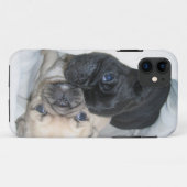 Kasten mit zwei Möpse Case-Mate iPhone Hülle (Rückseite (Horizontal))
