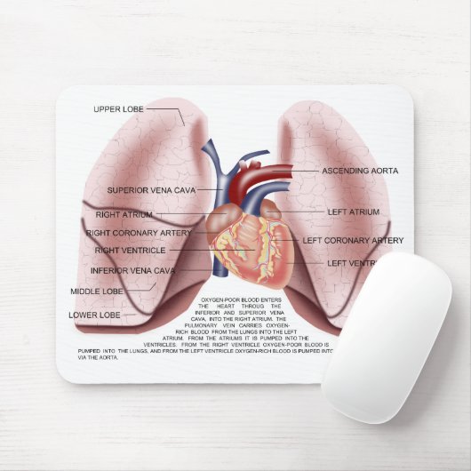 Kastenanatomie-Mausunterlage Mousepad (Mit Mouse)