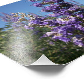 Kastenbaum Purple Flowers Fotodruck (Ecke)
