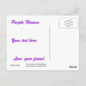 Kastenbaum Purple Flowers Postkarte (Rückseite)