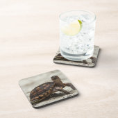 Kastenschildkröte Getränkeuntersetzer (Rechte Seite)