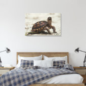 Kastenschildkröte Leinwanddruck (Insitu (Schlafzimmer))