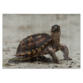 Kastenschildkröte Schneidebrett (Vorderseite)