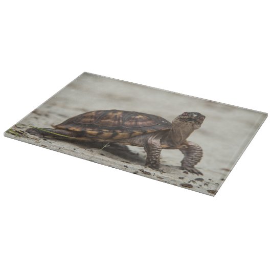 Kastenschildkröte Schneidebrett (Ecke)