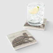 Kastenschildkröte Steinuntersetzer (Seitenansicht)