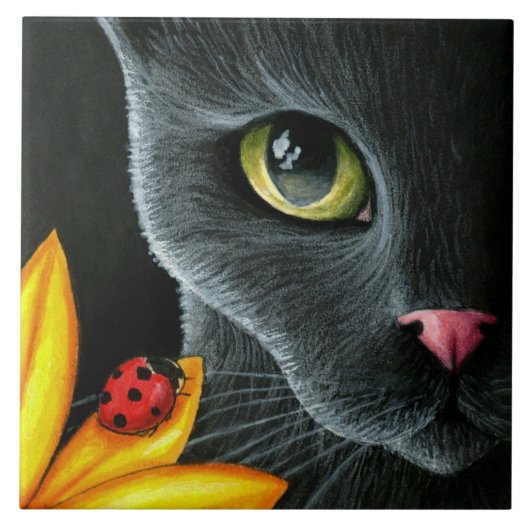 Kat 510 fliese (Vorderseite)