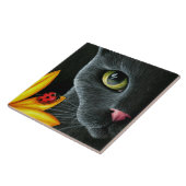 Kat 510 fliese (Seite)