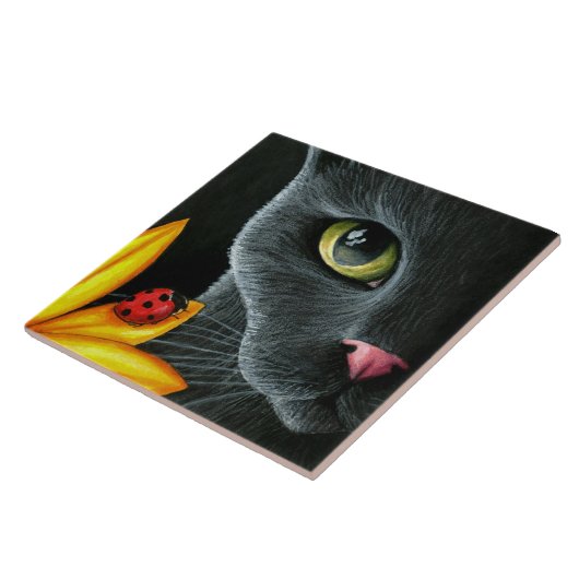 Kat 510 fliese (Seite)