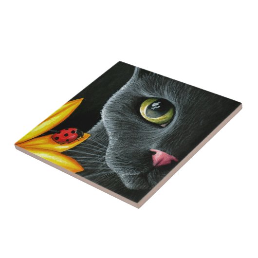 Kat 510 fliese (Seite)