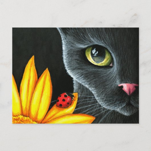 Kat 510 postkarte (Vorderseite)