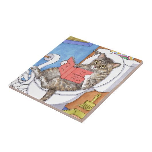 Kat 535 fliese (Seite)