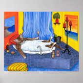 Kat 537 poster (Vorne)