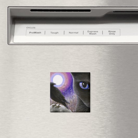 Kat 570 magnet (In Situ (Geschirrspüler))