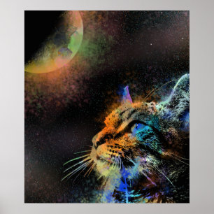 Kat 624 poster