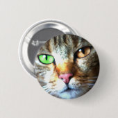 Kat Button (Vorne & Hinten)