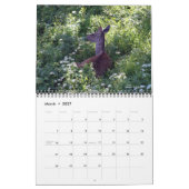 Kat Duncan entwirft Kalender! Kalender (Mär 2027)