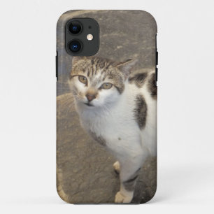 Kat iPhone 5 Ehegatte Case-Mate iPhone Hülle