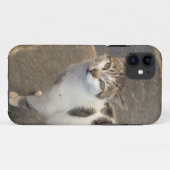 Kat iPhone 5 Ehegatte Case-Mate iPhone Hülle (Rückseite (Horizontal))