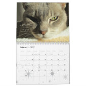 Kat-Kalender 2020, Gedenken an Grau Kalender (Feb 2027)