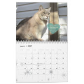 Kat-Kalender 2020, Gedenken an Grau Kalender (Mär 2027)