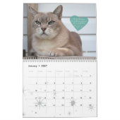 Kat-Kalender 2020, Gedenken an Grau Kalender (Jan 2027)