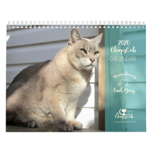 Kat-Kalender 2020, Gedenken an Grau Kalender (Titelbild)