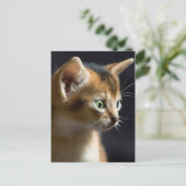 Kat Postkarte (Stehend Vorderseite)
