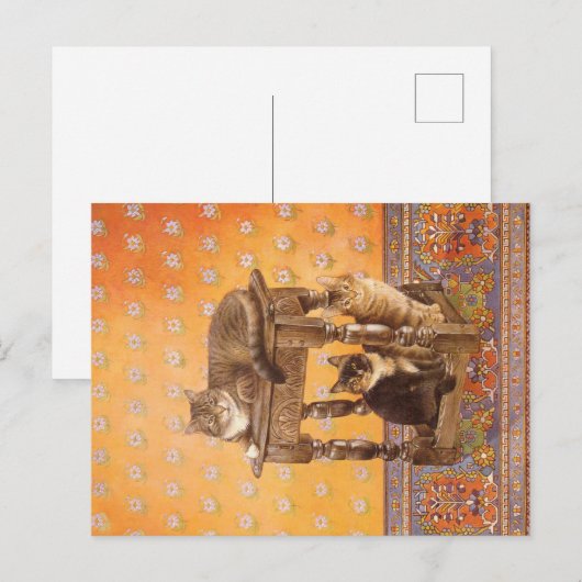 KAT- UND KITTENBILDUNG POSTKARTE (Vorne/Hinten)