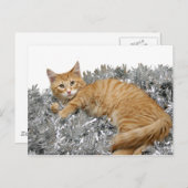 Kat Wer bin ich? Postkarte (Vorne/Hinten)