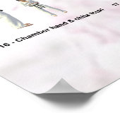 Kata Saifa - Goju Ryu-Version Poster (Ecke)