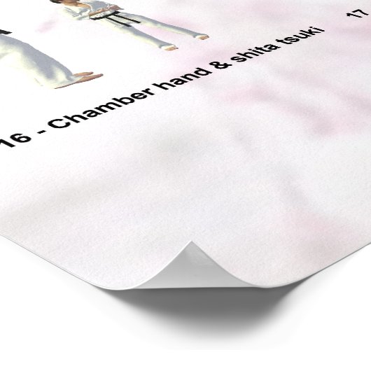 Kata Saifa - Goju Ryu-Version Poster (Ecke)