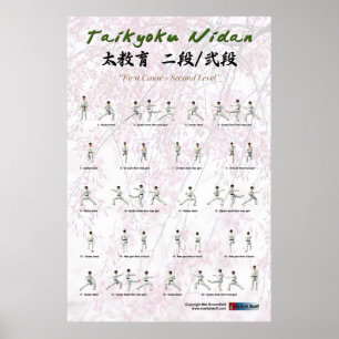Kata Taikyoku Nidan - 2. Kata Poster