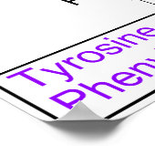 Katabolismus proteinogenes Aminosäurediagramm Poster (Ecke)